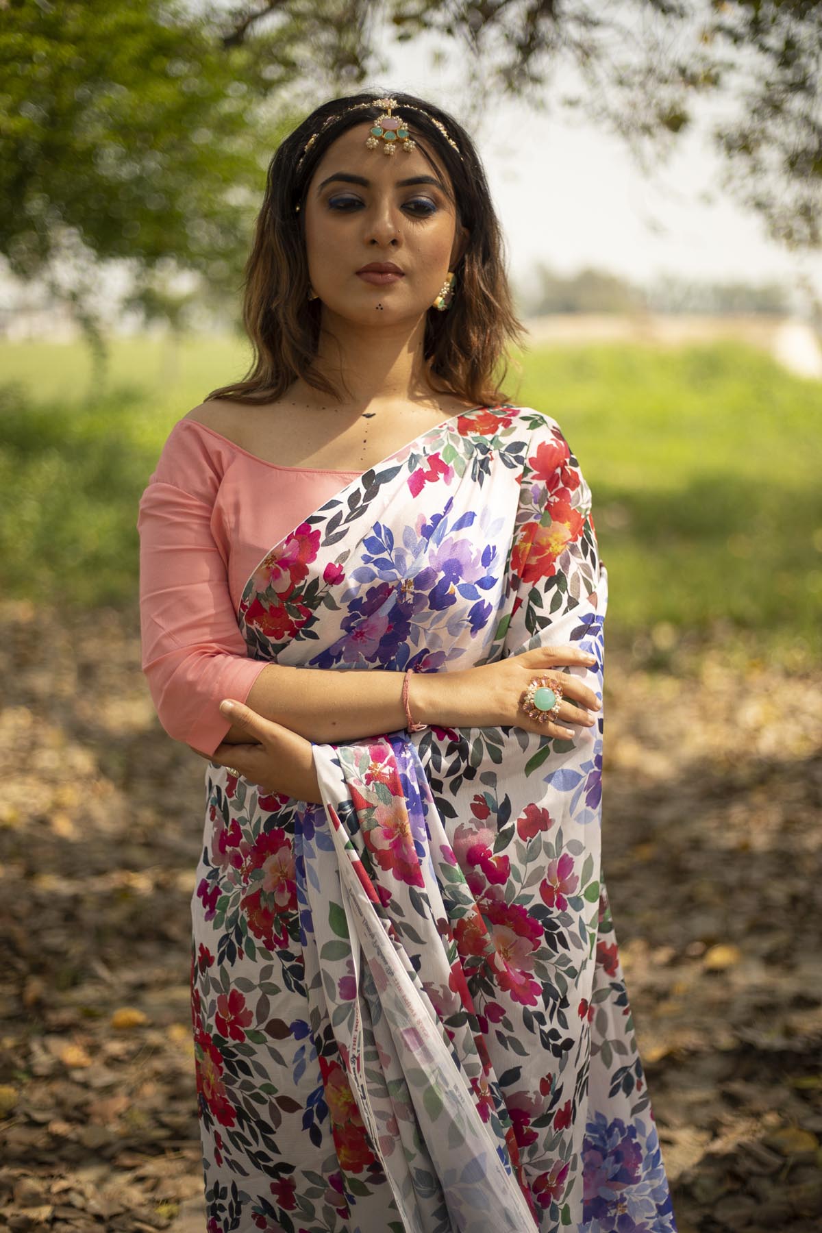 Beautiful Chinnon Print Saree Brampton,Canada
