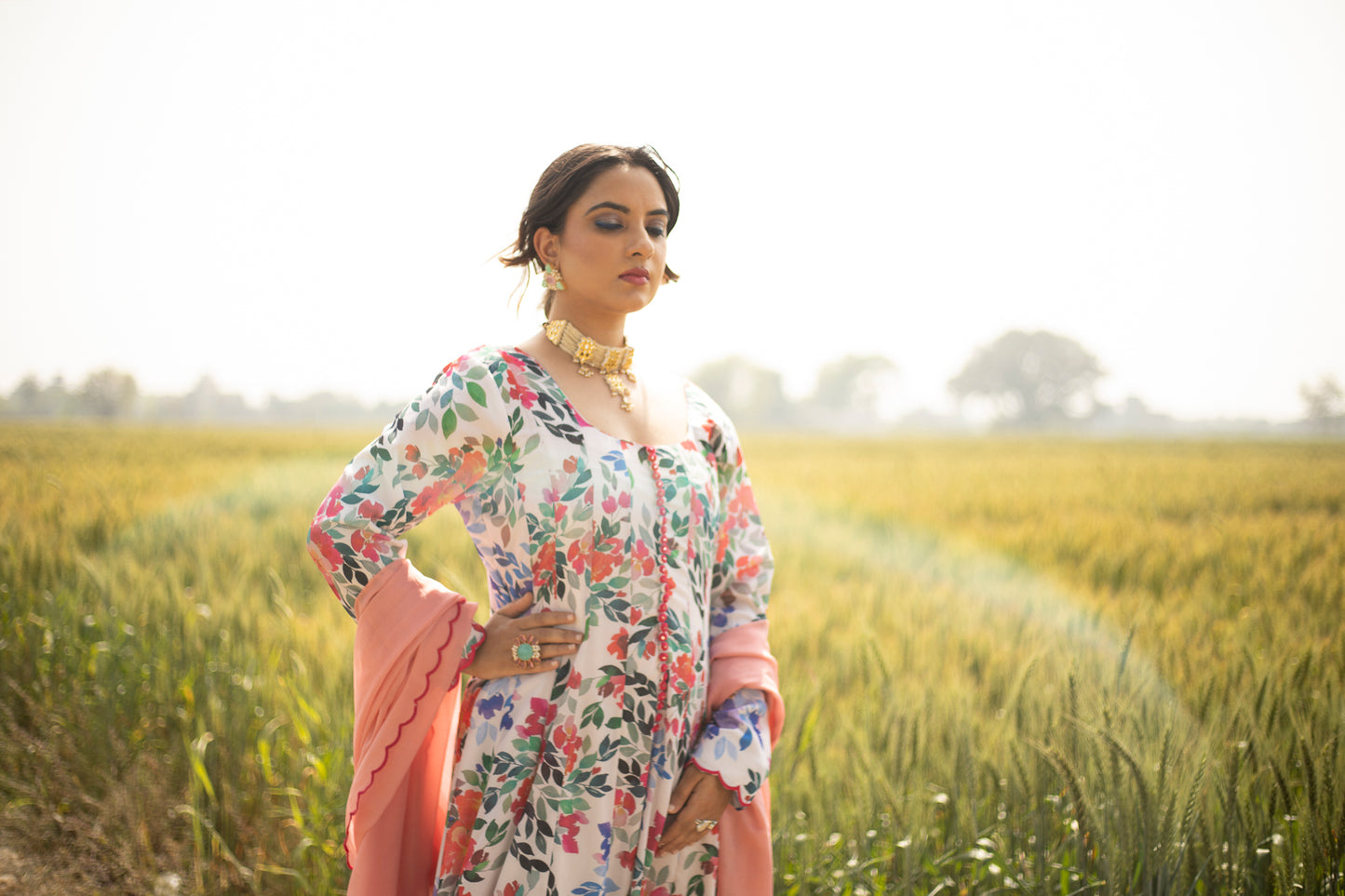 Elegance Chinnon Anarkali Suit New York,USA