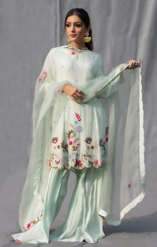 Ice Blue Gharara Set Amritsar, India