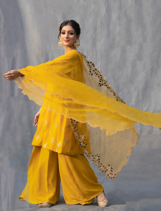 traditional chanderi suit ontario, canada